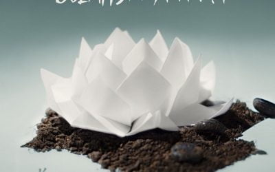 A Drummer’s Album Review: “Hikari” by Oceans Ate Alaska